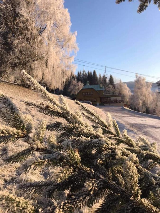 Penzion Alenka Шпіндлерув-Млин Екстер'єр фото